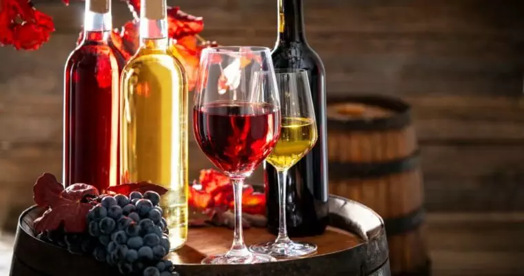 10 Best Spanish Wines: A Journey Through Time and Taste