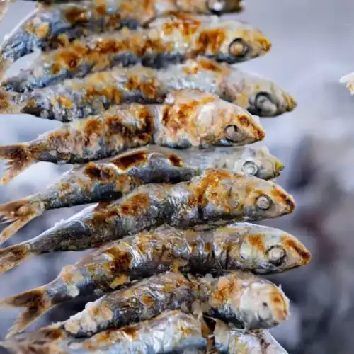 Grilled Sardines